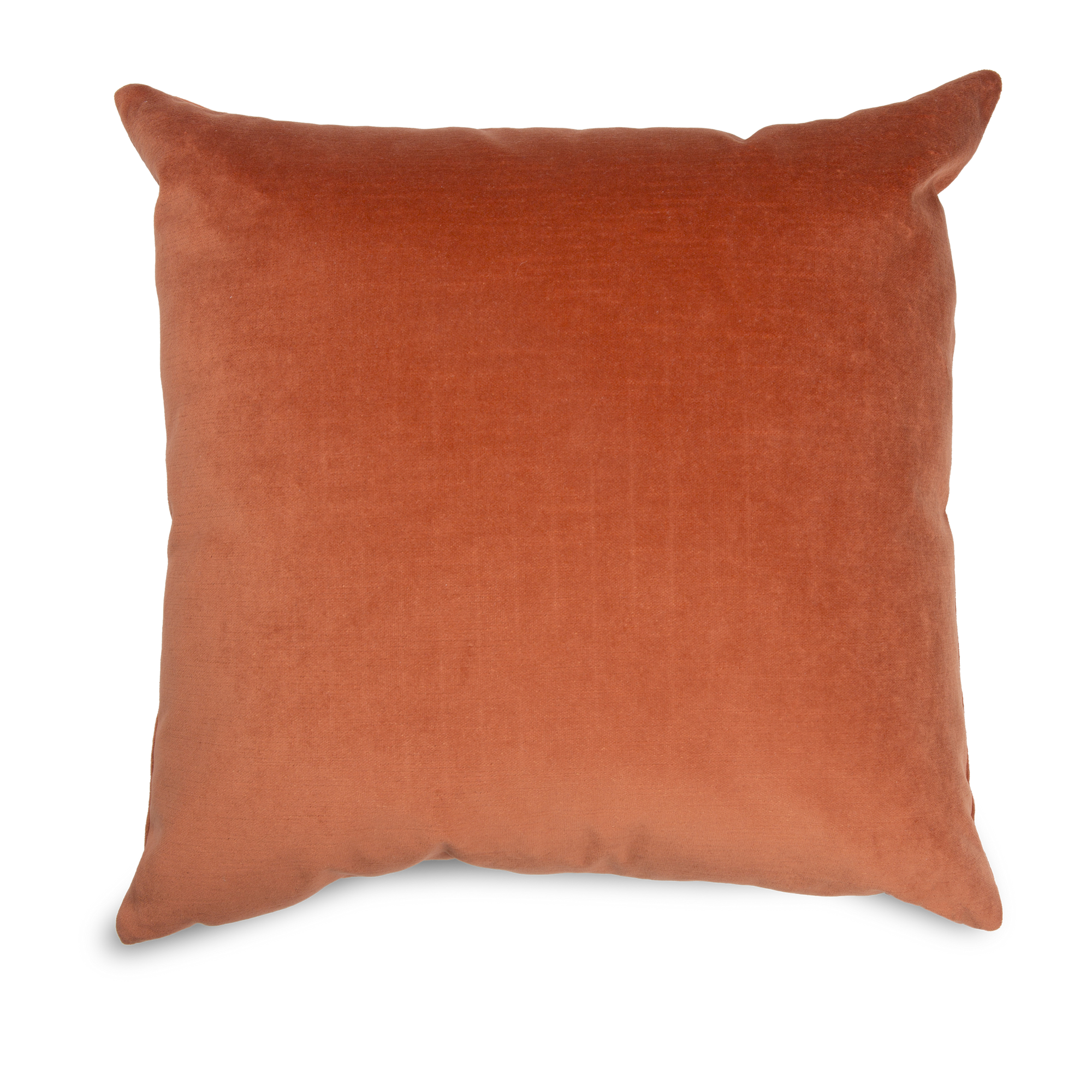 Solid Velvet Pillow