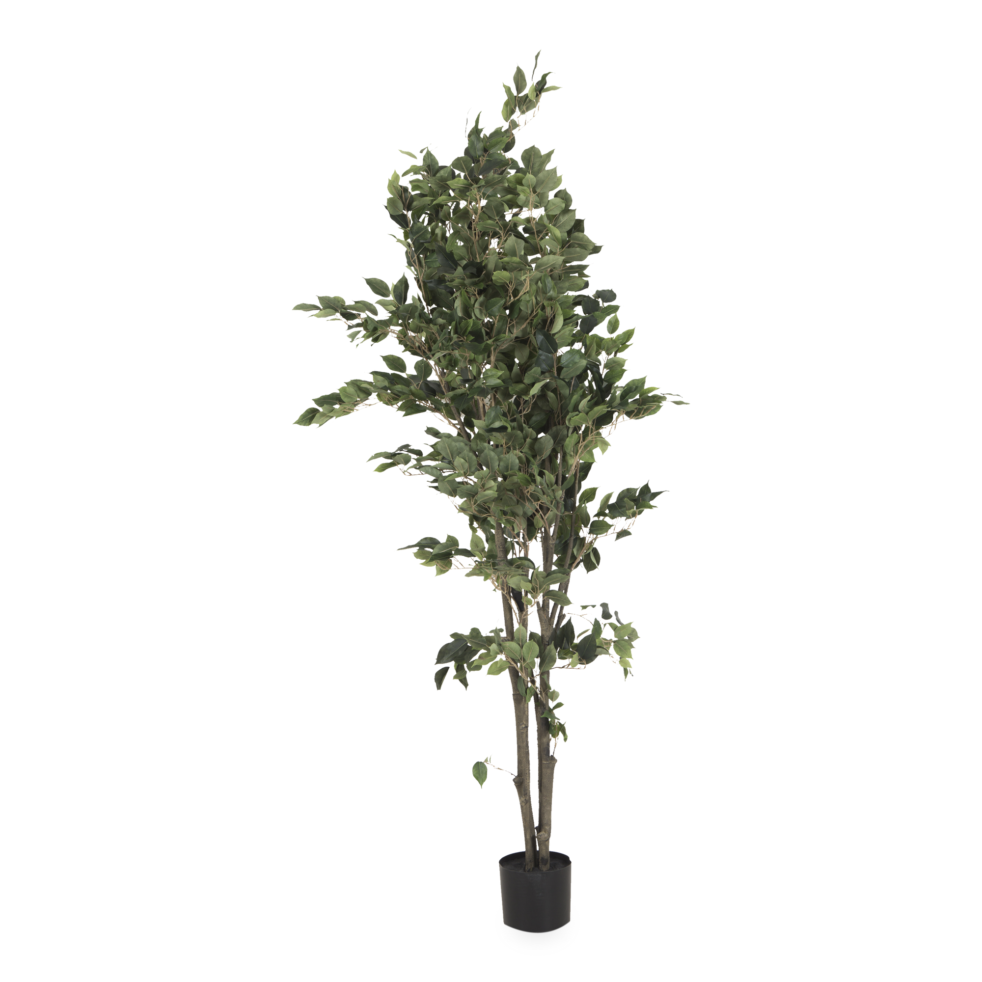 This elegant faux Ficus Tree stands 6 feet tall with a kempt body and lush foliage at the top.